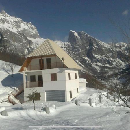 Alpbes Theth Guesthouse Shkodër Exterior foto
